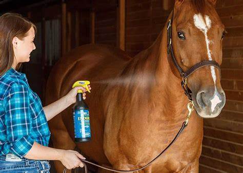 Best Fly Spray For Horses