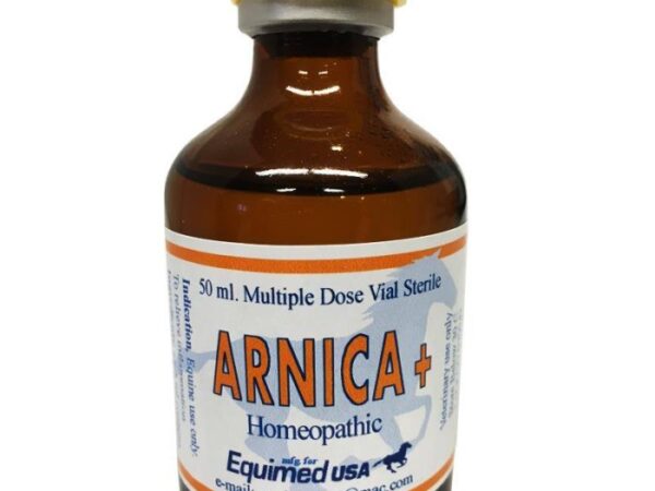 Arnica