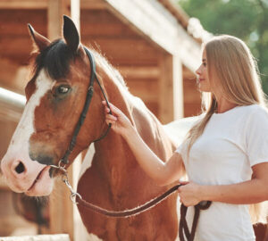 Horse Pre Race Injectable