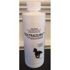 Toltrazuril For Dogs