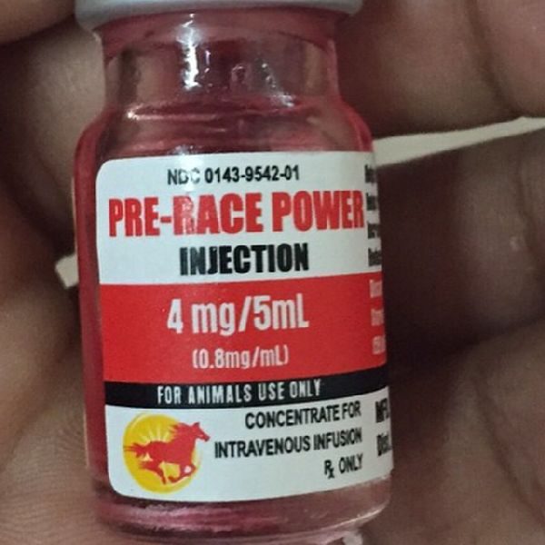 Horse Pre Race Injection