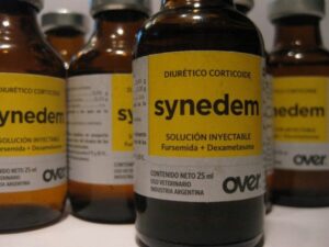 Synedem