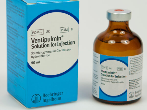 ventipulmin
