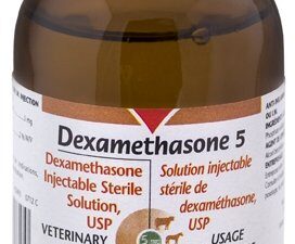 Dexamethasone