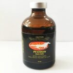 Buy Pentosan Injection Online – Trusted Veterinary Osteoarthritis Treatment