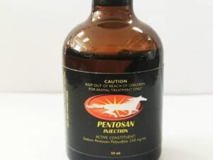Buy Pentosan Injection Online – Trusted Veterinary Osteoarthritis Treatment