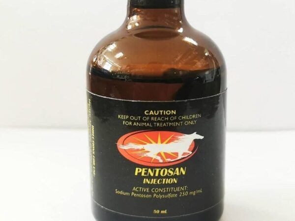 Buy Pentosan Injection Online – Trusted Veterinary Osteoarthritis Treatment