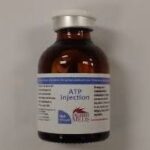 ATP Injection for Horses | Energy & Recovery Support – Equines Vet