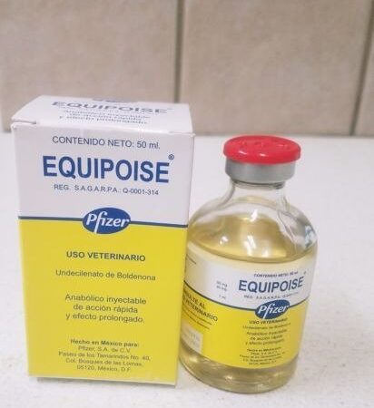 equipoise