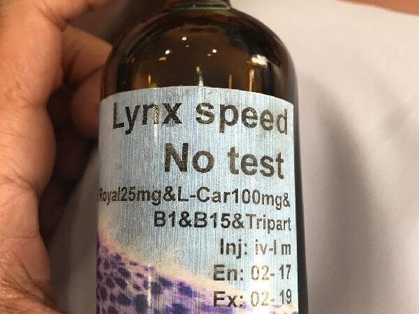 Lynx Speed 100ml