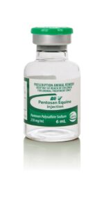 Buy Pentosan Equine – Veterinary Osteoarthritis Treatment for Equine Athletes