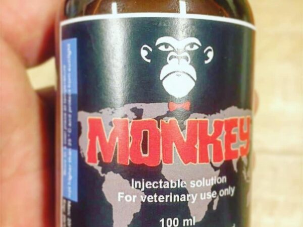 monkey injectable solution