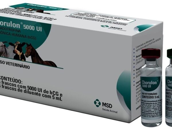 chorulon 5000 ui 5ml