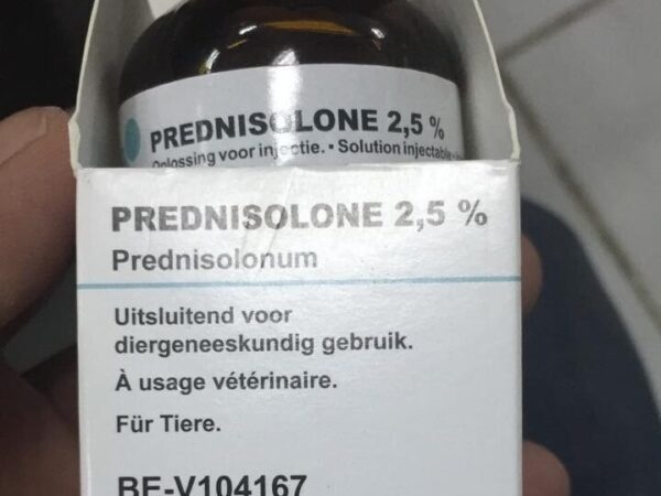prednisolone 2.5 % injection