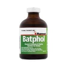 Batphol.jpg