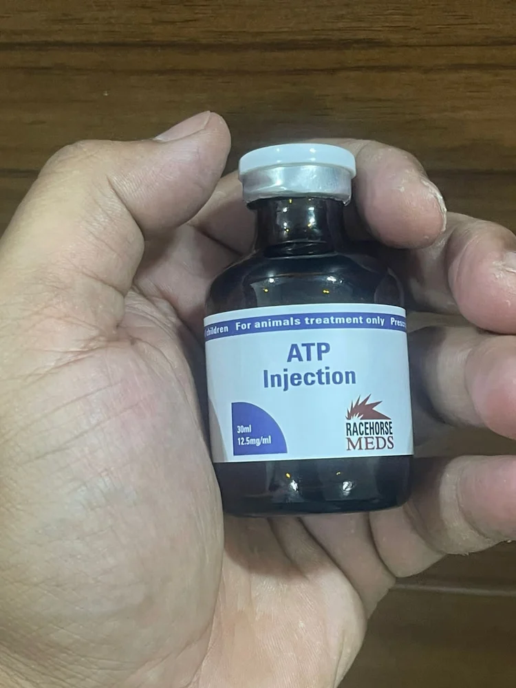 Buy Atp Injection For Sale Buy Atp Injection For Sale