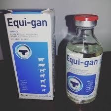 EQUI-GAN