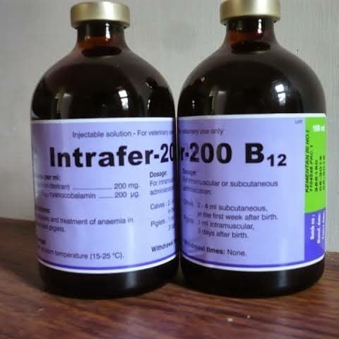 Intrafer-200-B12-1.jpg