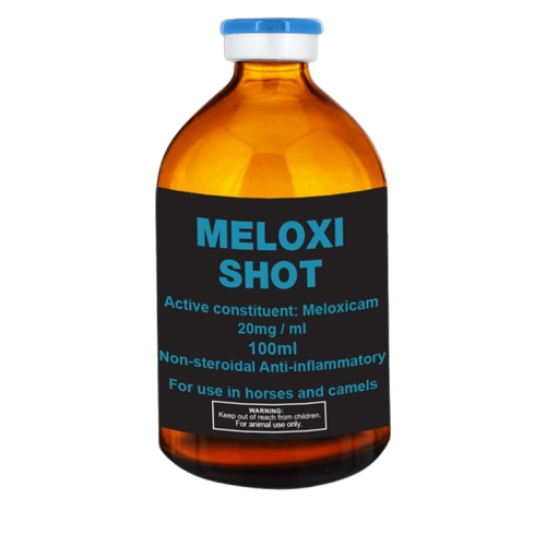 Buy Meloxi Shot 100ml Online From Equines Vet