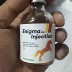 Buy Enigma Injection for Horses – Professional Equine Care You Can Rely On When horse owners and veterinary professionals look for dependable injectable treatments, product quality and consistency are essential. If you are planning to buy Enigma Injection, choosing a reliable supplier is just as important as choosing the right product. At Equines Vet, we provide Enigma Injection to support responsible equine care programs with a focus on safety, authenticity, and professional standards. Enigma Injection is commonly incorporated into structured veterinary treatment plans where injectable support is required. It is used by experienced horse owners, trainers, breeders, and veterinarians who prioritize well-managed health routines and evidence-based care. Understanding Enigma Injection Enigma Injection is a veterinary injectable product formulated for equine use. It is intended to be administered under professional guidance as part of a broader health or treatment strategy. Injectable formulations allow for controlled delivery and consistent absorption, making them suitable for situations where oral administration may not be practical or effective. Because injectable products act directly within the body, they should always be used responsibly, with appropriate dosing and veterinary supervision. Enigma Injection is valued for its reliability and suitability within professional equine management programs. Why Horse Owners Choose Enigma Injection Horse owners and equine professionals choose Enigma Injection for several important reasons: Consistent formulation Each dose is produced to meet established veterinary standards, ensuring predictable and stable administration. Professional application Enigma Injection is designed for use by individuals familiar with proper injection techniques or under veterinary supervision. Suitable for structured care programs It is often included in planned treatment or support protocols rather than used casually or without guidance. Trusted by experienced handlers The product is commonly selected by those who understand the importance of responsible medication use in horses. Situations Where Enigma Injection May Be Used Enigma Injection may be considered in a range of controlled equine care situations, including: • Horses undergoing veterinary treatment plans • Animals requiring injectable support due to feeding limitations • Horses under close professional monitoring • Managed care programs where precision dosing is required The exact use, frequency, and dosage depend on the horse’s condition, weight, workload, and overall health profile. A licensed veterinarian should always determine suitability. Importance of Veterinary Guidance Injectable equine products should never be used without proper knowledge and oversight. Veterinary guidance ensures: • Correct dosage based on horse size and condition • Proper injection method and site selection • Reduced risk of adverse reactions • Safe integration with other treatments When you buy Enigma Injection from Equines Vet, it is expected that the product will be used responsibly and in accordance with professional advice. Quality Standards at Equines Vet Equines Vet is committed to supplying veterinary products that meet professional expectations. When ordering Enigma Injection from our platform, customers benefit from: Authentic products We focus on sourcing legitimate veterinary supplies suitable for professional equine use. Careful handling Products are stored and packaged with attention to safety and integrity. Discreet shipping Orders are processed with privacy and professionalism in mind. International availability We serve customers in the United States, United Kingdom, Canada, Australia, Germany, France, Switzerland, Spain, Portugal, and other European regions. Storage and Handling Information Proper storage and handling help maintain product effectiveness: • Store in a cool, dry place • Protect from direct sunlight • Do not freeze unless specified by the manufacturer • Keep out of reach of children and unauthorized users • Use only before the stated expiration date Always inspect the product before use and do not administer if the solution appears compromised. Responsible Use and Safety Equine injectable products are intended strictly for animal use. Enigma Injection should be administered only by trained individuals or under veterinary supervision. Responsible use protects both the horse’s health and the handler’s safety. If any unusual reaction occurs after administration, discontinue use immediately and consult a veterinarian. Ordering Enigma Injection Online Buying veterinary products online requires trust in the supplier. Equines Vet is dedicated to providing a dependable ordering experience for horse owners and professionals worldwide. Our process is designed to be straightforward, secure, and respectful of professional standards. When you buy Enigma Injection from Equines Vet, you are choosing a supplier that understands the responsibility involved in equine care. Buy Enigma Injection from Equines Vet Today If you are looking to buy Enigma Injection as part of a structured equine care or treatment plan, Equines Vet offers a reliable and professional source. We focus on quality, authenticity, and service to support responsible horse ownership and veterinary practice. Place your order today and ensure your equine care program is supported by products chosen with care and expertise.