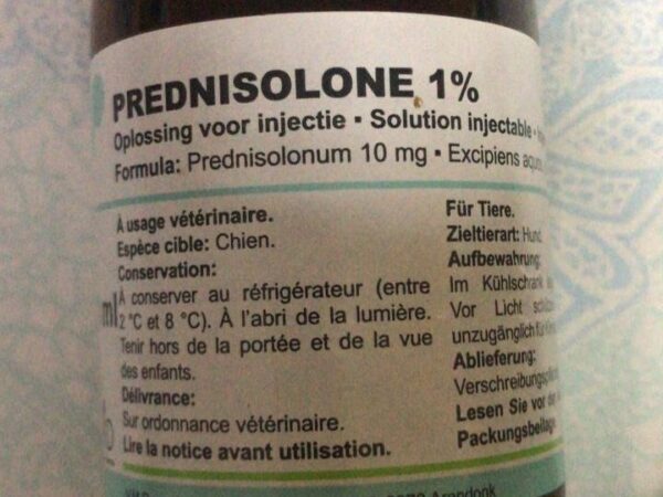 Prednisolone 1%