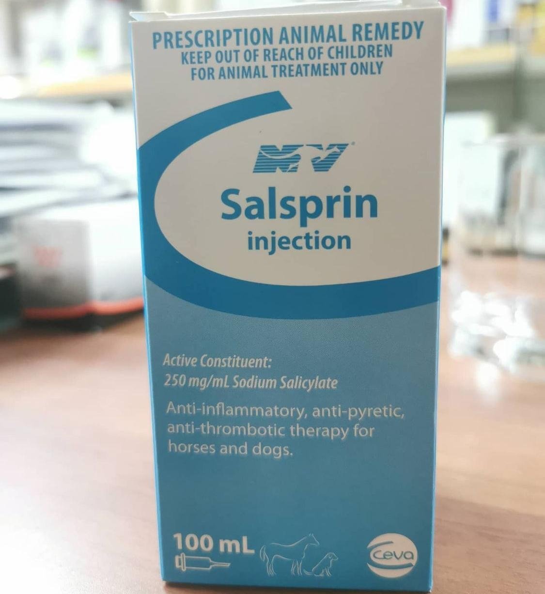 SALSPRIN.jpg