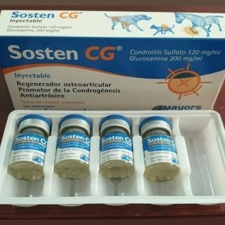 Sosten CG
