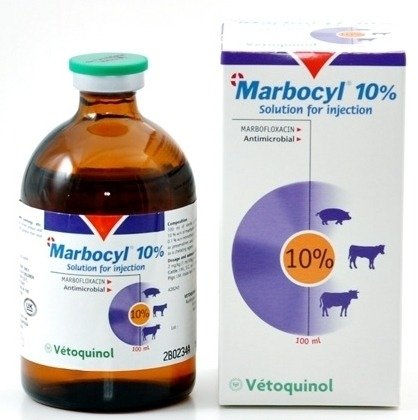 Marbocyl 10% 100ml