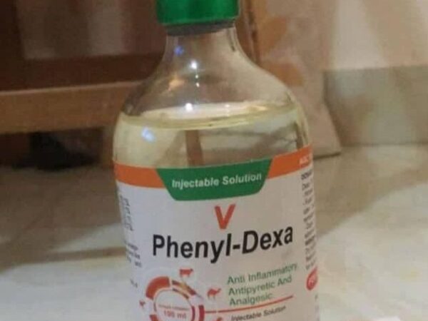 phenyl-dexa 100ml
