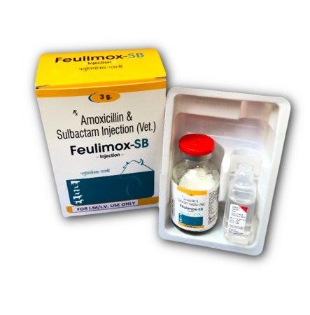 amoxicillin and subactam injection