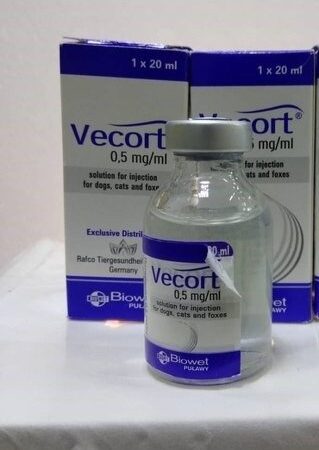 VECORT