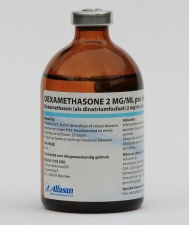 Dexamethasone 2 mg/ml 100 ml