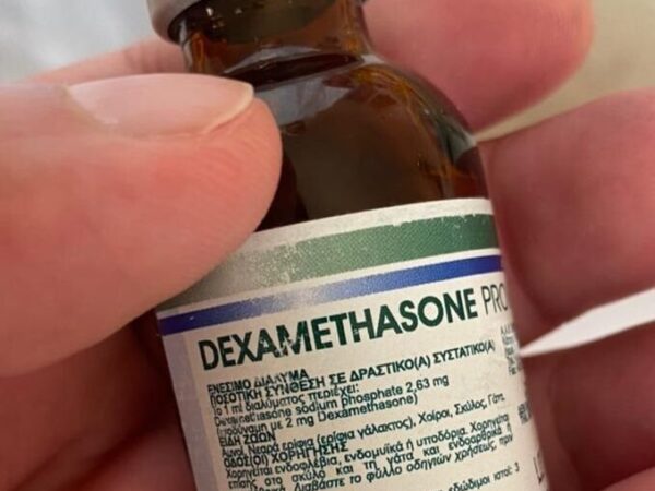 dexamethasone provet