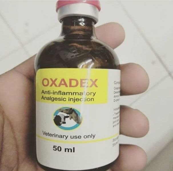 oxadex-injection.jpg