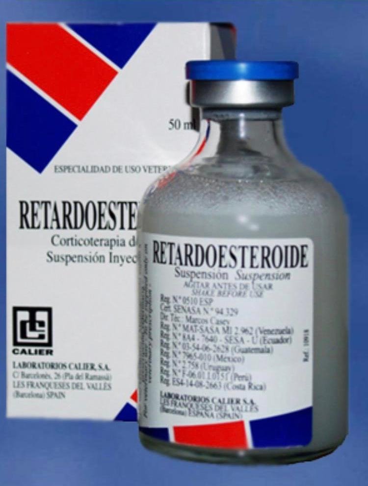 retardoesteroide-1.jpg