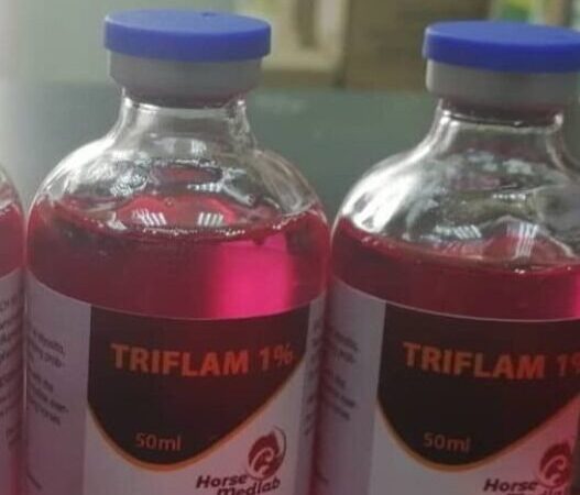 triflam 1% injection 50ml