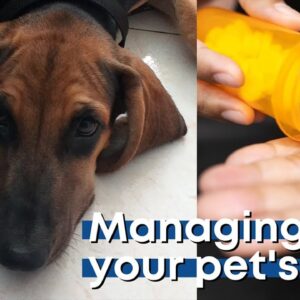 pain management drugs