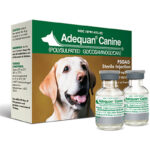Adequan Canine