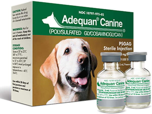 Adequan Canine