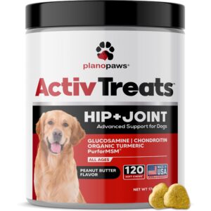 Joint Supplements & Energy
