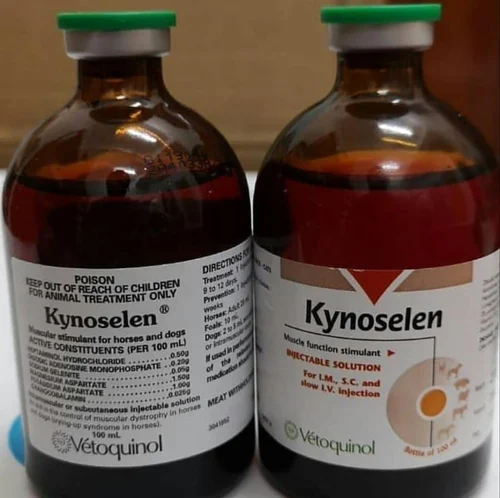 Kynoselen For Horses