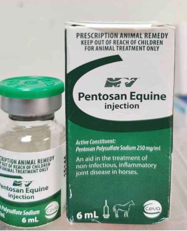 Pentosan For Horses