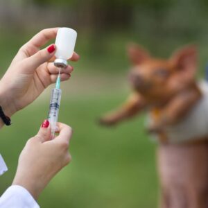 Antibiotics