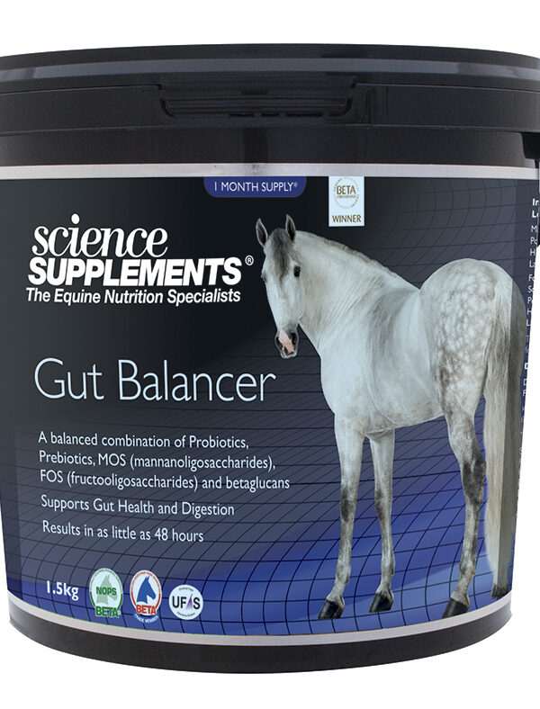 Digestive Supplements