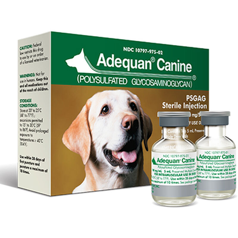 Adequan Injections For Dogs