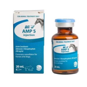 Amp 5 Injection