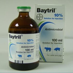 Baytril 10% 25ml