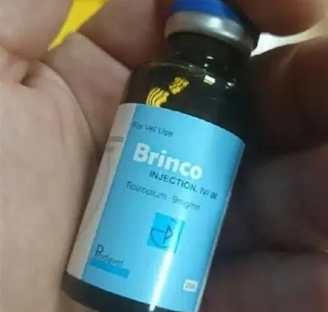Brinco – 25ml
