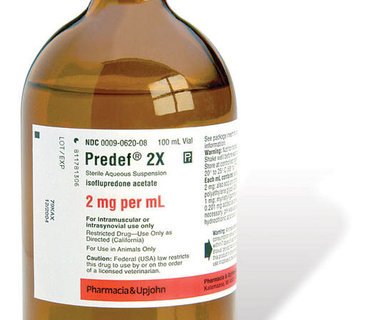 Predef 2X