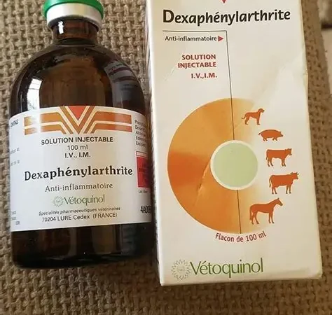 DEXAPHENYLARTHRITE – 100 ML (VETOQUINOL)